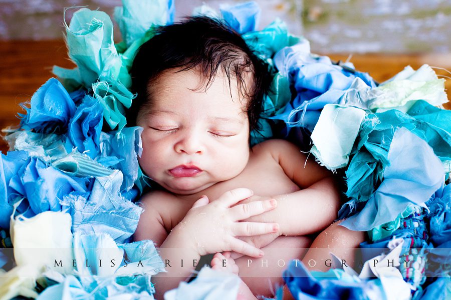 Melissa Rieke Photography