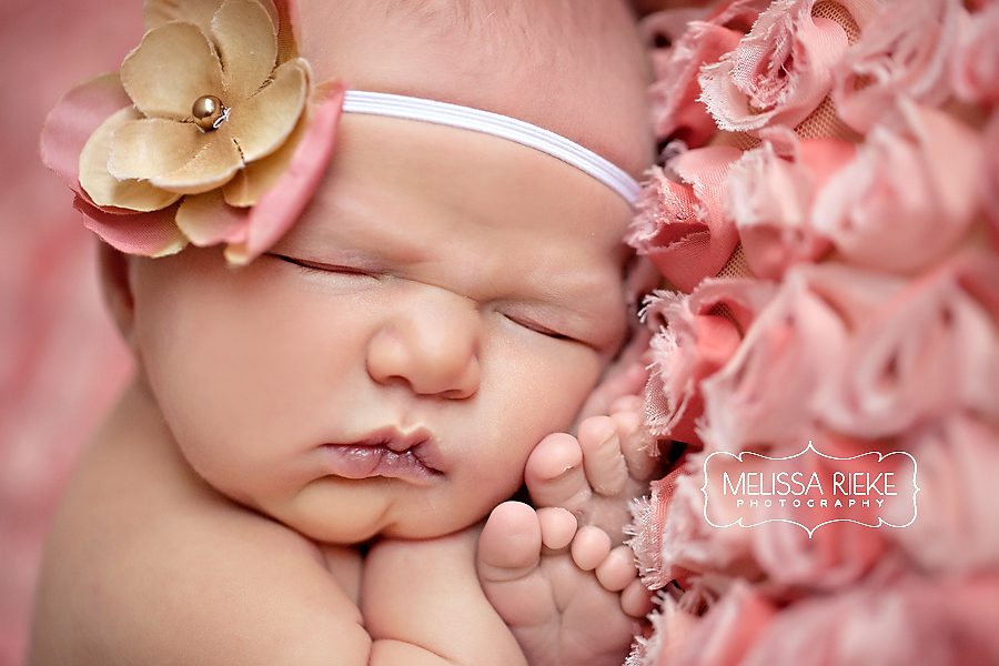 Newborn Photographer