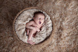Melissa Rieke Photography