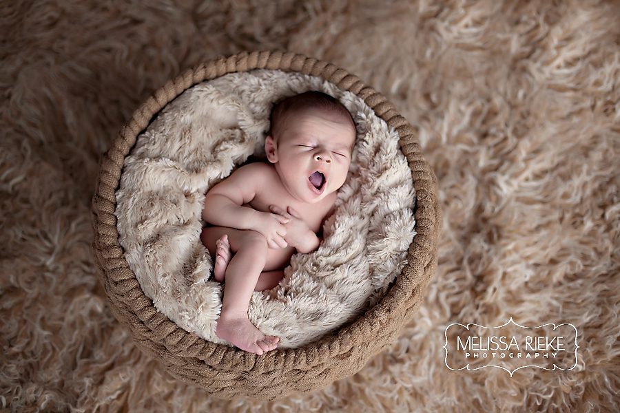 Melissa Rieke Photography