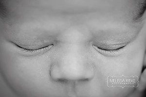 Melissa Rieke Photography