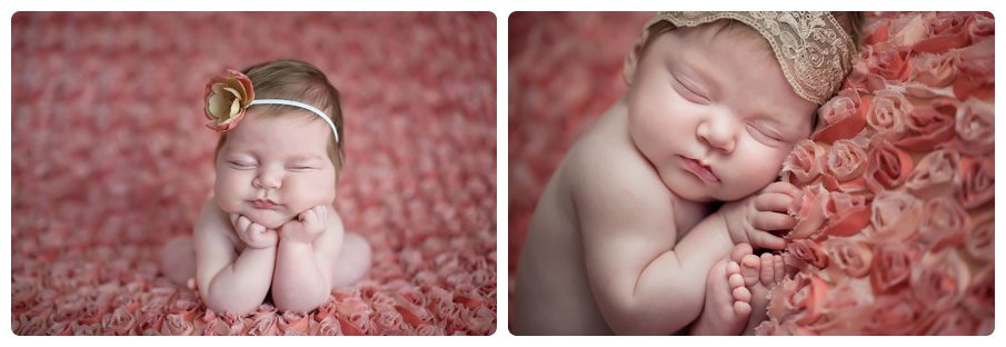 Melissa Rieke Photography ~ Kansas City Newborn Photographer