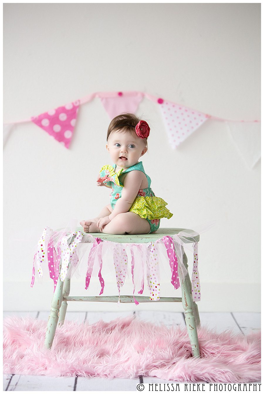 View More: http://melissariekephotography.pass.us/ellis