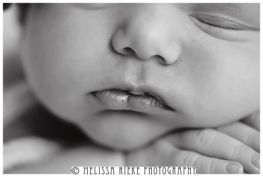 Melissa Rieke Photography - Newborn Image