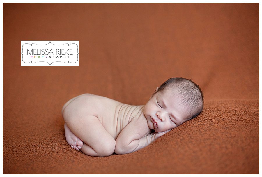 Melissa Rieke Photography - Newborn Image