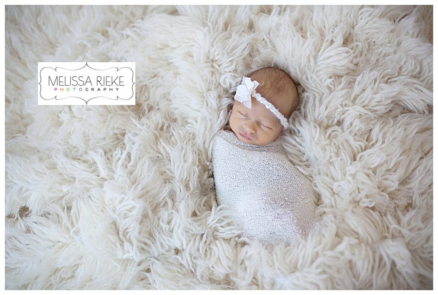 Melissa Rieke Photography - Newborn Image