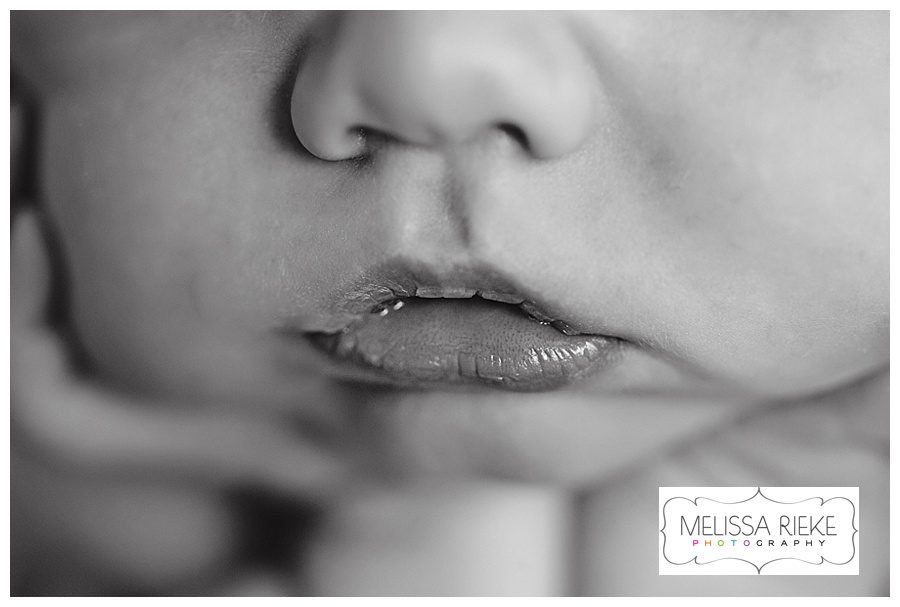 Melissa Rieke Photography - Newborn Image