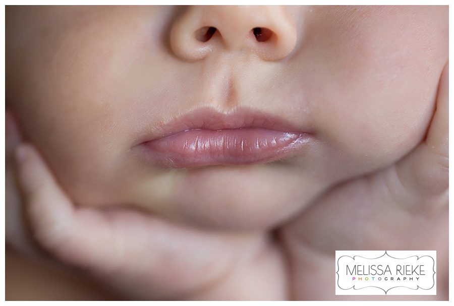 Melissa Rieke Photography - Newborn Image