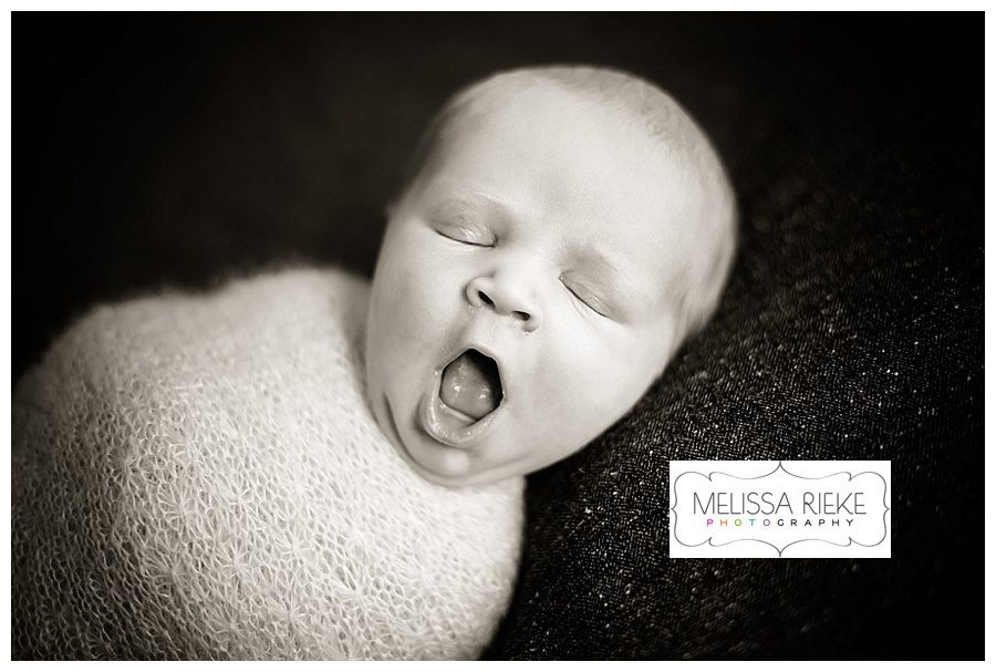 Melissa Rieke Photography - Newborn Image