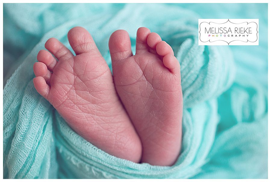Melissa Rieke Photography - Newborn Image