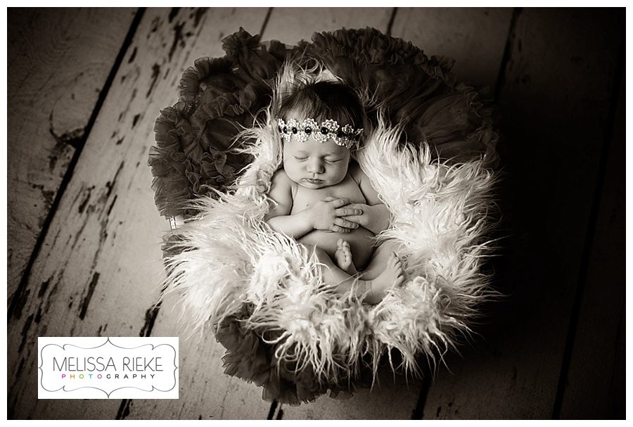 Melissa Rieke Photography - Newborn Image
