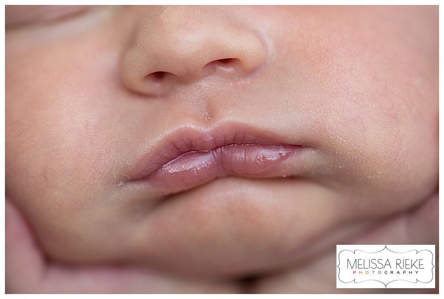 Melissa Rieke Photography - Newborn Image