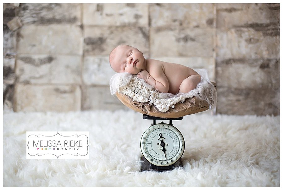 Melissa Rieke Photography - Newborn Image