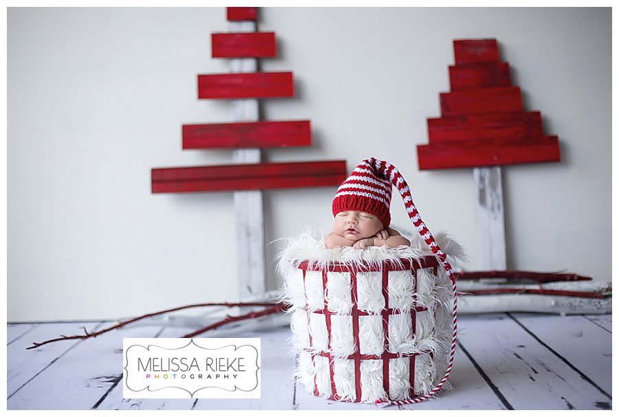 Melissa Rieke Photography - Newborn Image