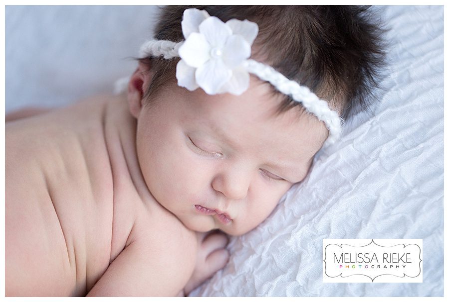 Melissa Rieke Photography - Newborn Image