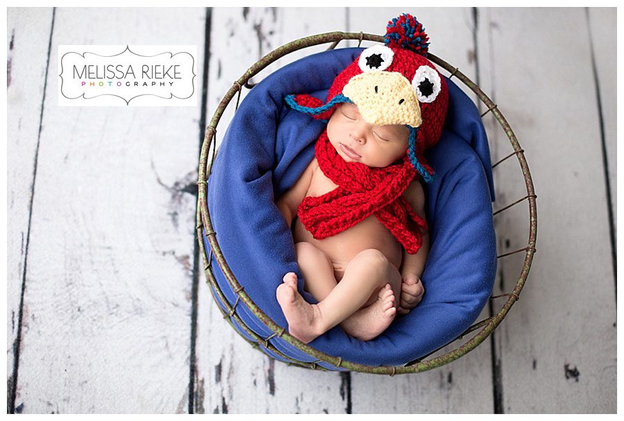 Melissa Rieke Photography - Newborn Image