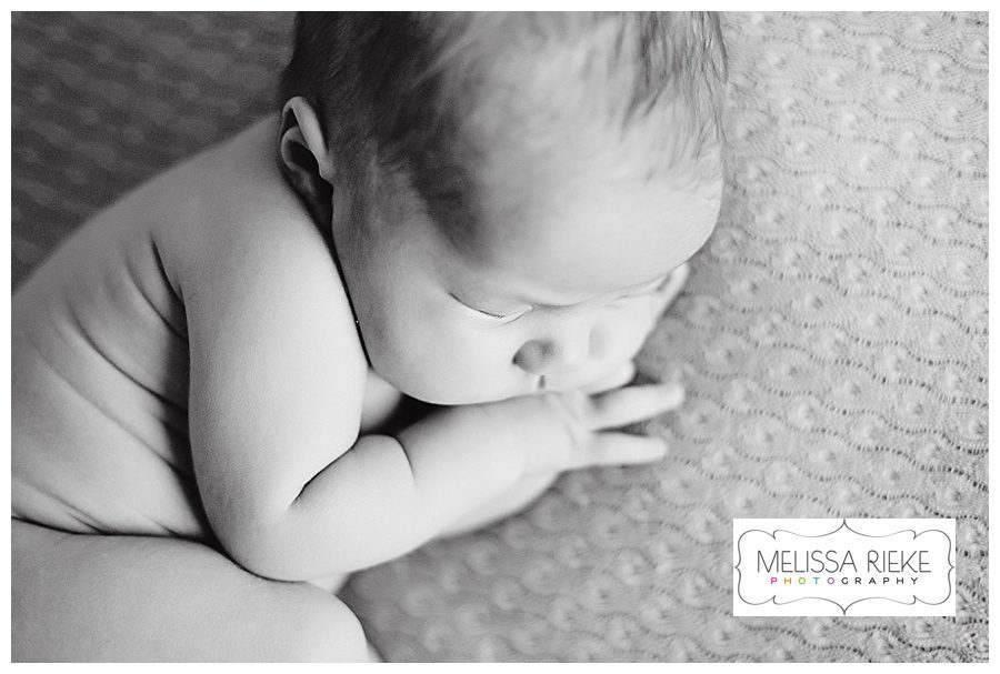 Melissa Rieke Photography - Newborn Image