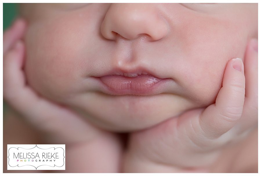Melissa Rieke Photography - Newborn Image