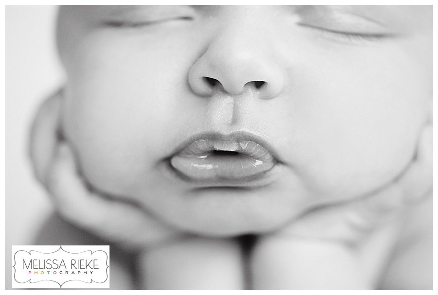 Melissa Rieke Photography - Newborn Image