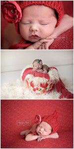 Coral Roses Newborn Portraits | Melissa Rieke Photography