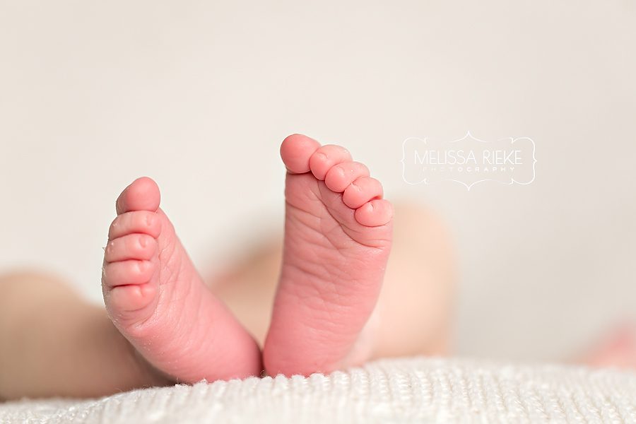 Newborn Portraits
