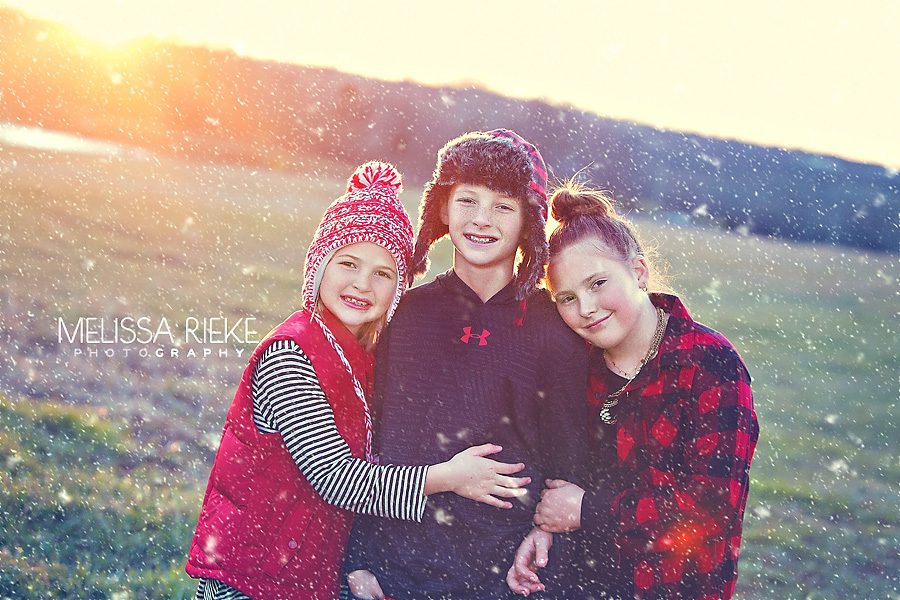 Christmas Card | Show Cows | Kansas City Photographer | Melissa Rieke Photography