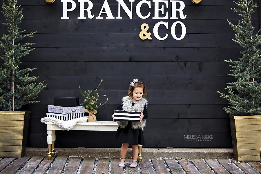 Christmas Minis 2018 Holiday Hoopla Kansas City Photographer Photos 