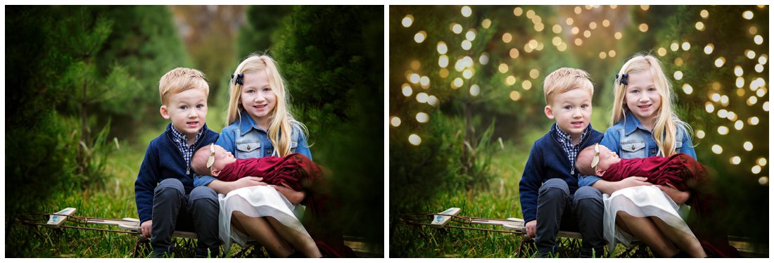 Holiday Bokeh Overlays Pretty Presets Christmas Tree Farm Sessions Minis