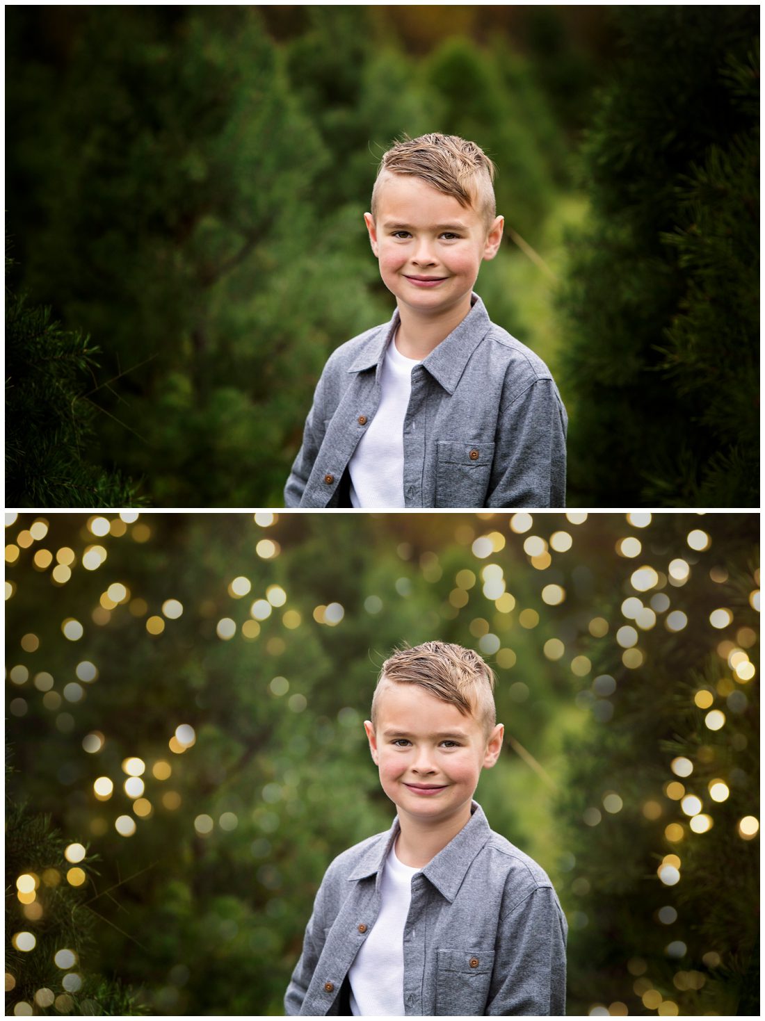 Holiday Bokeh Overlays Pretty Presets Christmas Tree Farm Sessions Minis