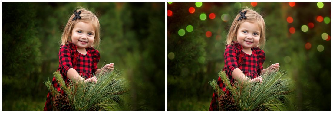 Holiday Bokeh Overlays Pretty Presets Christmas Tree Farm Sessions Minis